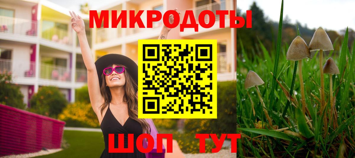 Галлюциногенные грибы Psilocybe  Вход с VPN  Псилоцибиновые грибы Magic Shrooms  дарнет шоп  Благодарный 
